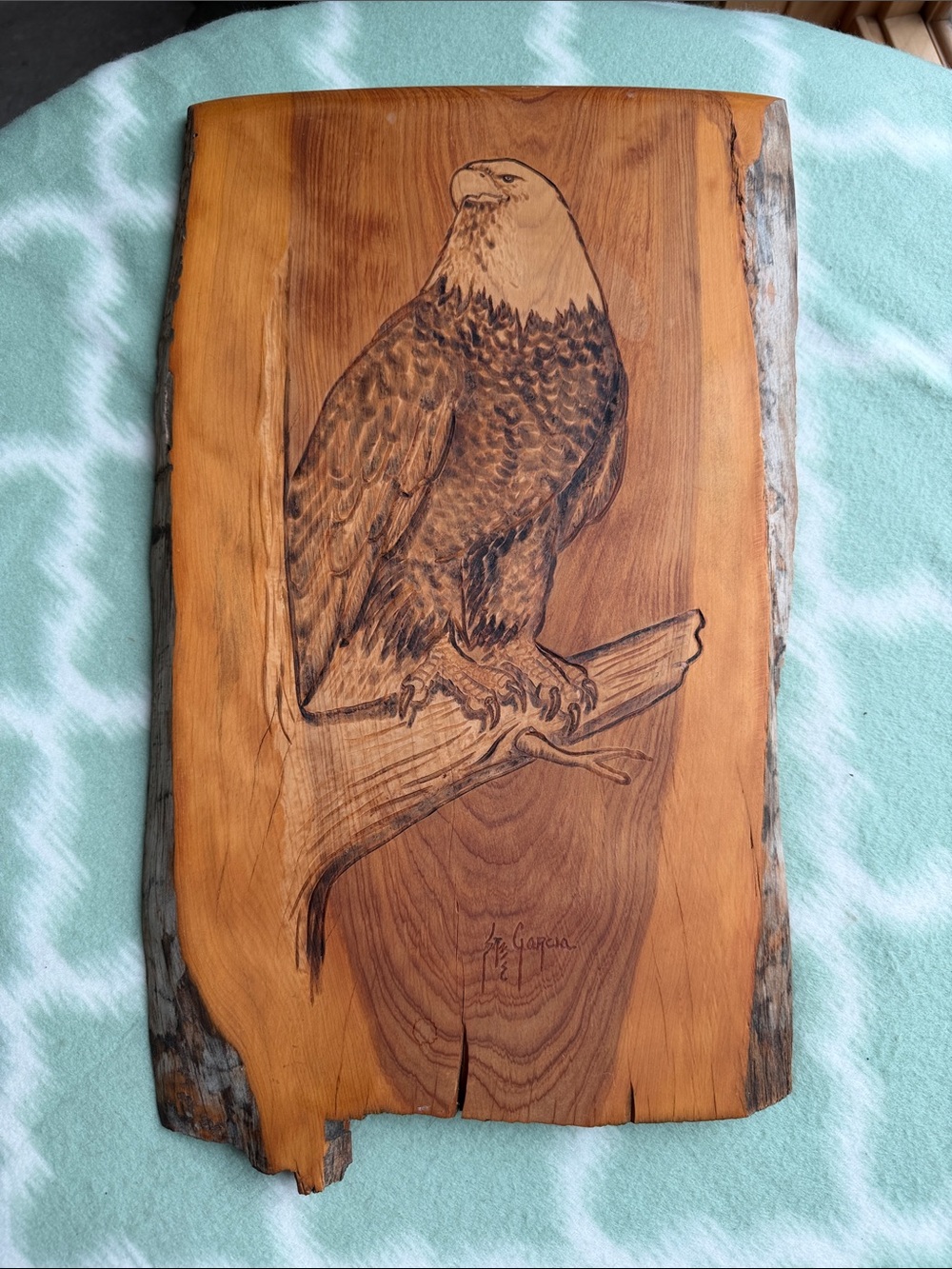 Handcrafted Pyrography Live-edge Wooden Wall Art Bald Eagle in Natural Brown
